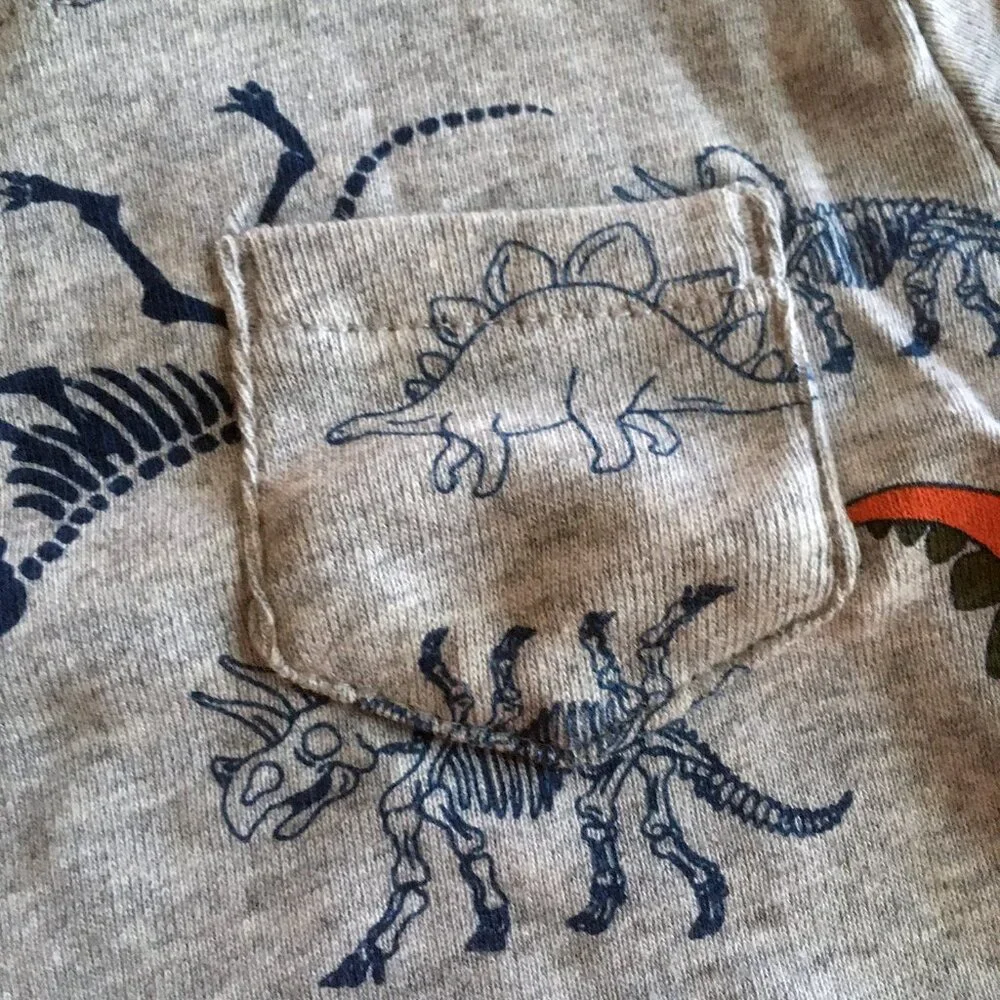 Carter's dino outfit 12m NWT